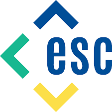 ESC Business Central Partner | Microsoft Dynamics 365 Integration Specialist